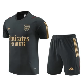 Arsenal Trainingsshirt Anzüge 2023-24 - Grau