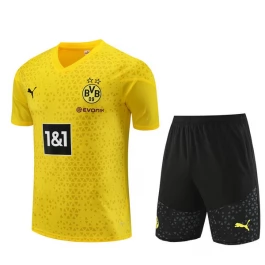 BVB Borussia Dortmund Trainingsshirt Anzüge 2023-24 - Yelow
