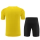 BVB Borussia Dortmund Trainingsshirt Anzüge 2023-24 - Yelow