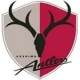 Kashima Antlers Fußballtrikots