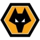  Wolves FC Fußballtrikots