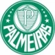  Palmeiras Fußballtrikots