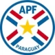 Paraguay Fußballtrikots