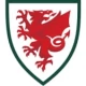 Wales Fußballtrikots