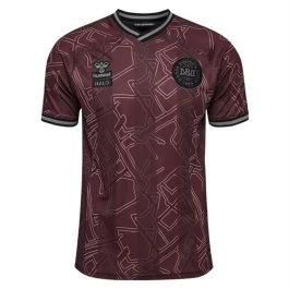 Dänemark Heimtrikot Special Edition 2025 Günstige Fußballtrikots