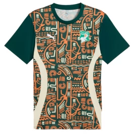 Elfenbeinküste Heimtrikot Pre-Match 2025 Günstige Fußballtrikots