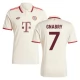 FC Bayern München Gnabry 7 Ausweichtrikot 2024-2025 Günstige Fußballtrikots FC Bayern München Gnabry 7 Ausweichtrikot 2024-2025 Günstige Fußballtrikots