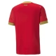 Fußballtrikots WM 2022 Serbien Heimtrikot