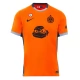 Günstige Fußballtrikots Inter Mailand Ausweichtrikot Ninja Turtles 2023-2024
