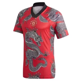 Günstige Fußballtrikots Manchester United Heimtrikot Dragon 2023-2024
