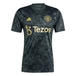 Günstige Fußballtrikots Manchester United Heimtrikot Stone Roses Pre-Match 2023-2024