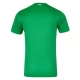 Irland Heimtrikot 2024
