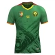 Kamerun Heimtrikot 2025-2026 Günstige Fußballtrikots