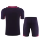 Paris Saint Germain PSG Trainingsshirt Anzüge 2023-24 - Lila