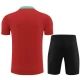 Portugal Trainingsshirt Anzüge 2024-25 - Dark Rot