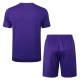 Real Madrid Trainingsshirt Anzüge 2025-26 - Shorts Lila