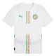 Senegal Heimtrikot 2025 Günstige Fußballtrikots
