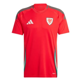 Wales Heimtrikot 2024