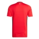 Wales Heimtrikot 2024