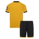 Wolverhampton Wanderers Heimtrikot Kinder 2025-2026 Günstige Fußballtrikots